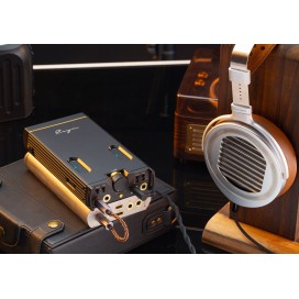 Cayin C9 II with protective case