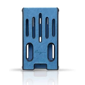 Cayin C9 II with protective case