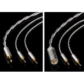 Final Audio D8000 DC Pro Edition