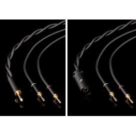 Final Audio D8000 DC